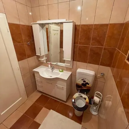 Ferienwohnung Apartman Alibi Boljevac Exterior foto